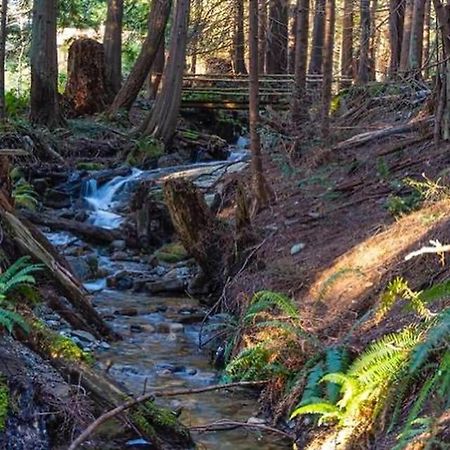 Forest Haven Hideaway Roberts Creek Dış mekan fotoğraf