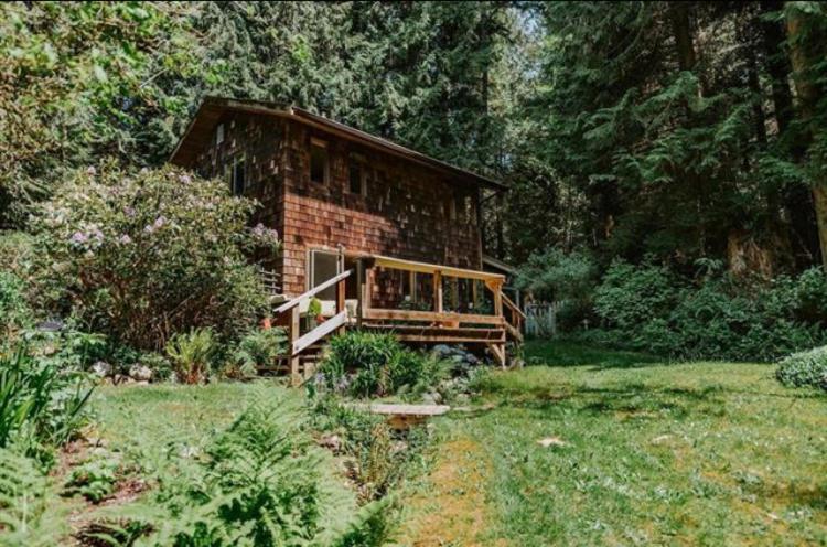 Forest Haven Hideaway Roberts Creek Dış mekan fotoğraf